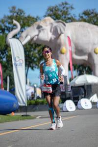 BIB: 
                            <button type="button" onclick="openModal(26545203)" class="btn btn-primary btn-sm float-right btn-popup" data-toggle="modal" data-target=".modal-high-quality">
                        <i class="fas fa-shopping-cart"></i> Add to Cart
                    </button>
                                            <button type="button" onclick="isThisMe(26545203, true)" class="btn btn-success btn-sm float-right btn-popup btn-isme hidden" data-toggle="tooltip" data-placement="bottom" title="นี่คือรูปของคุณใช่ไหม คลิกที่นี่เพื่อเอาเข้าอัลบั้ม">
                        <i class="fas fa-plus"></i> Add to album
                    </button>
                    <button type="button" onclick="isThisMe(26545203, false)" class="btn btn-warning btn-sm float-right btn-popup btn-isnotme hidden">
                        <i class="fas fa-ban"></i> Remove from album
                    </button>